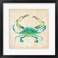 Framed Sealife Crab