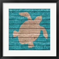 Coastal Wonder II Framed Print