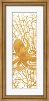 Framed Sealife on Gold I