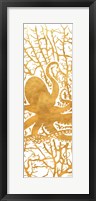 Sealife on Gold I Framed Print