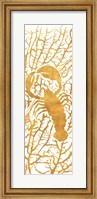 Framed Sealife on Gold II