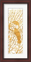 Framed Sealife on Gold II
