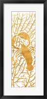 Sealife on Gold II Framed Print