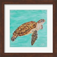 Framed Sea Turtle I