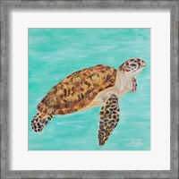 Framed 'Sea Turtle I' border=