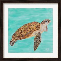 Framed Sea Turtle I