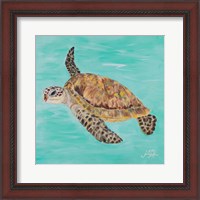 Framed 'Sea Turtle II' border=