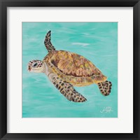 Framed 'Sea Turtle II' border=