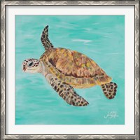 Framed Sea Turtle II