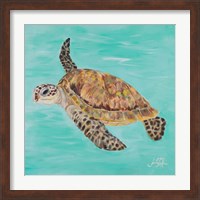 Framed 'Sea Turtle II' border=