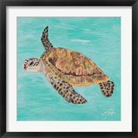 Framed 'Sea Turtle II' border=