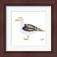 Framed Seagull on White