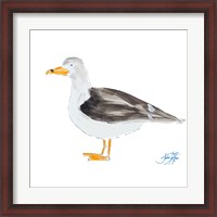 Framed Seagull on White