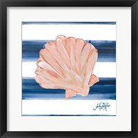 Framed Nautical Shell III