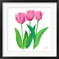 Framed Tulips I
