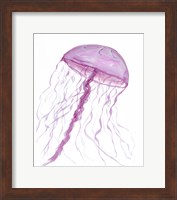Framed Jellyfish II
