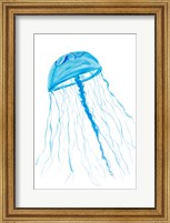 Framed Jellyfish I