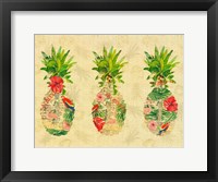 Framed Triple Tropical Pineapple Collage