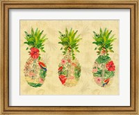 Framed Triple Tropical Pineapple Collage