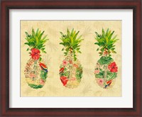 Framed Triple Tropical Pineapple Collage