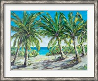 Framed Tropical Palm Tree Paradise