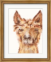 Framed Goofy Llama II