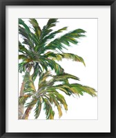 Framed Tropical Trees on White I