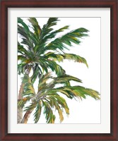 Framed Tropical Trees on White I
