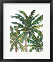 Framed Tropical Trees on White III