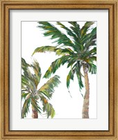 Framed Tropical Trees on White II