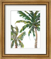 Framed Tropical Trees on White II