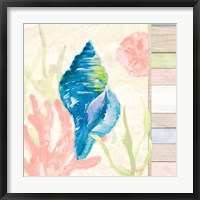 Pastel Coastal IV Framed Print