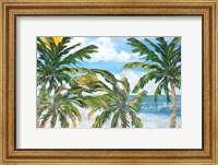 Framed Tropical Trees Paradise