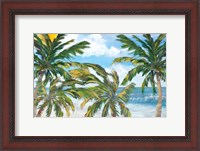 Framed Tropical Trees Paradise