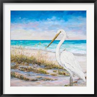 Framed Egret on the Beach