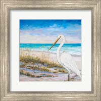 Framed Egret on the Beach