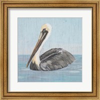 Framed 'Pelican Wash I' border=