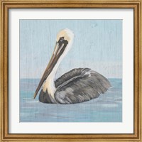 Framed Pelican Wash I
