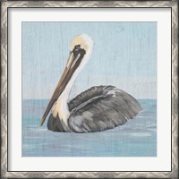 Framed Pelican Wash I