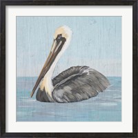 Framed Pelican Wash I