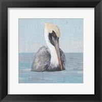 Framed 'Pelican Wash II' border=