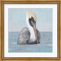 Framed Pelican Wash II