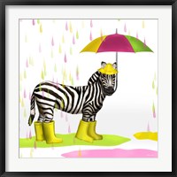Framed Raindrops Safari Zebra