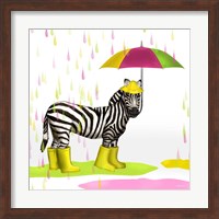 Framed Raindrops Safari Zebra