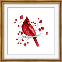 Framed Winter Cardinal in Red I