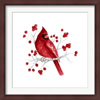 Framed Winter Cardinal in Red I