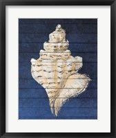 Framed Beach Finds Navy I