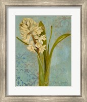 Framed Hyacinth on Teal I