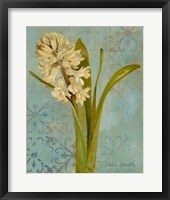 Hyacinth on Teal I Framed Print