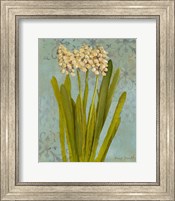Framed Hyacinth on Teal II